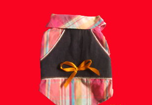 青島、威海、上海高檔寵物服飾用品供應(yīng)全解析